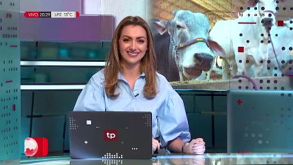 San Ignacio de Velasco, la región con el mayor hato ganadero de Santa Cruz