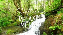 Find Peace and Serenity through Soothing Tunes