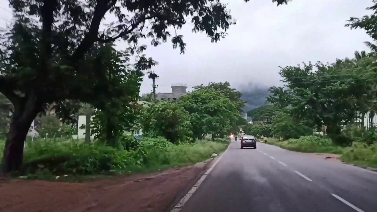 Evening drive