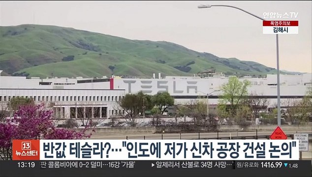 '반값 테슬라' 현실화?… 인도에 저가 신차 공장 건설 논의