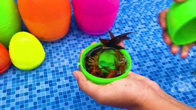 Surprise eggs contain So cute ducklings, koi fish, crabs, catfish, Freshwater shark, goldfish, eel