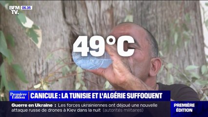 Canicule: des températures extrêmes en Tunisie et en Algérie