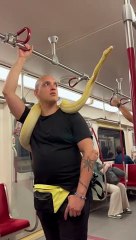 Man Takes Pet Snake On Toronto Train