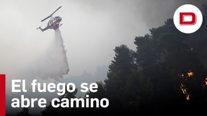Avanza el fuego en la isla griega de Corfú, con cerca de 2.500 evacuados