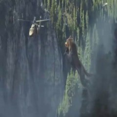 One of my favorite movies