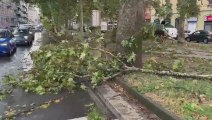 Meteo Milano, rami spezzati sulla strada dopo il nubifragio - Video