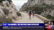 Calanques de Marseille: un an après la mise en place des restrictions, les effets sont positifs