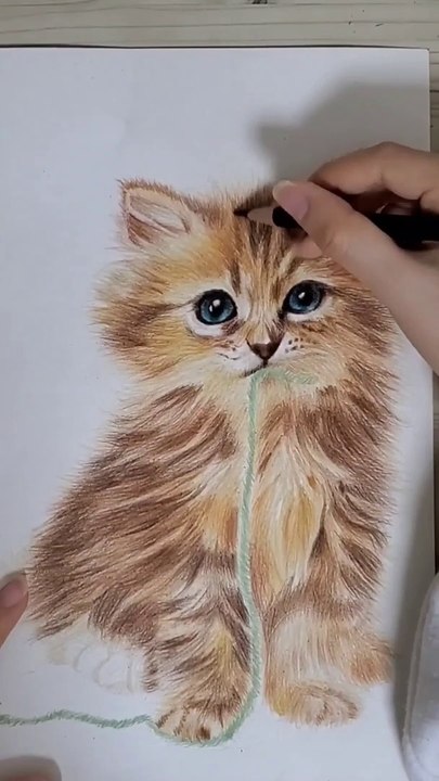 색연필로 그린 고양이 (a cat drawn with colored pencils)