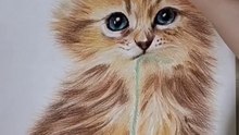 색연필로 그린 고양이 (a cat drawn with colored pencils)
