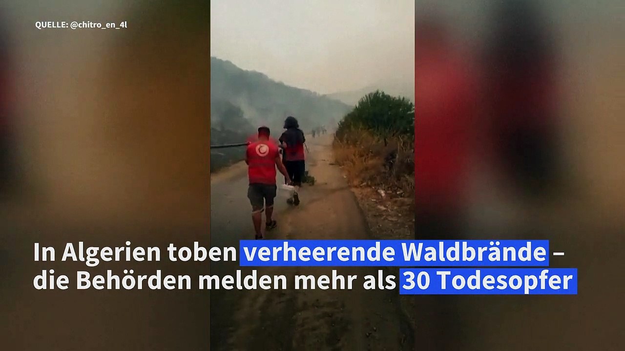 Dutzende tote bei waldbränden in algerien