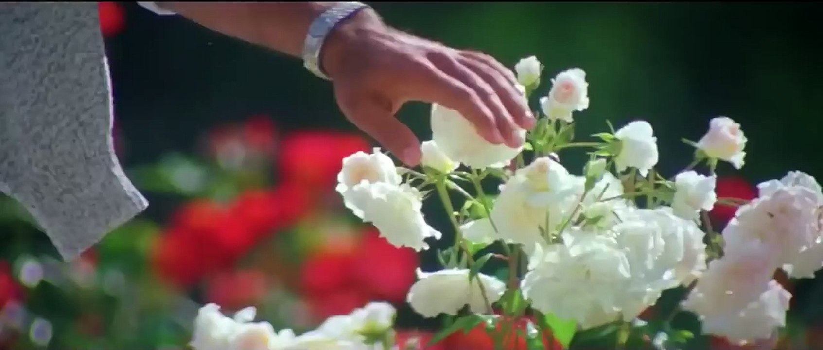 Dil Ne Ye Kaha Hai Dil Se - ❤️90s Jhankar❤️ - Dhadkan (2000) Alka Yagnik- Akshay Kumar, Sunil Shetty