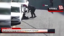 Beşiktaş’ta köpeği tekme ve tokatlarla darbetti