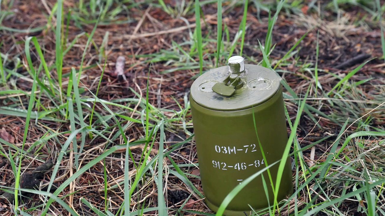 Atomkraftwerk Saporischschja: Experten finden Antipersonenminen