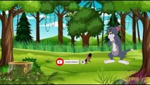 tom and jerry without zoom effect | MINI TV