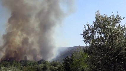 اليونان "في حرب" على الحرائق وإجلاء آلاف السياح من الجزر