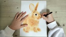 색연필로 그린 토끼 (Drawing a rabbit)