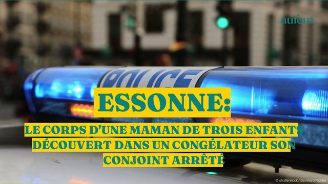 Essonne : le corps d’une maman de trois enfants découvert dans un congélateur, son conjoint arrêté