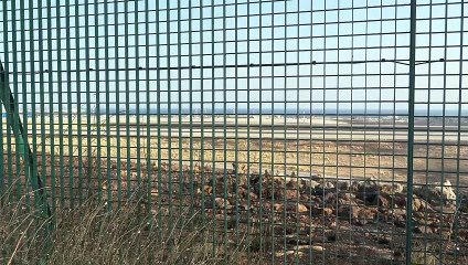 Palermo: roghi attorno all'aeroporto