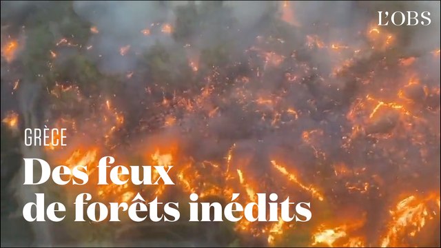 Incendies en Grèce : le point sur la situation à Rhodes et à Corfou