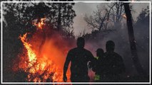 Dutzende Tote bei Waldbränden in Algerien