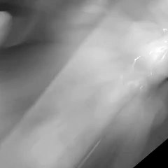 JO 2024: le comité d'organisation dévoile le design de la Torche, conçu par le Français Mathieu Lehanneur