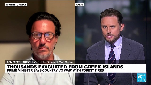 'This is the new norm': As climate change increases severity of forest fires, 'prevention' is key