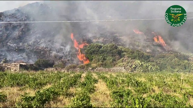 Schifani: «In arrivo vigili del fuoco da altre regioni. Seguo costantemente la situazione. Vicino a operatori e famiglie sfollate»