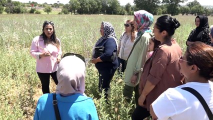 TIBBİ VE AROMATİK BİTKİ YETİŞTİRİCİLİĞİ KURSU GELECEK VADEDİYOR