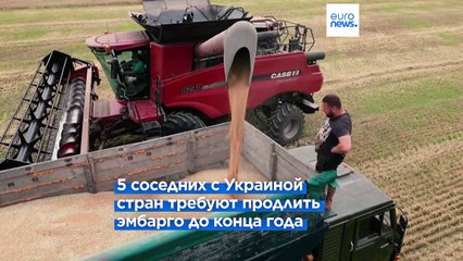 Зеленский: продление ограничений на экспорт украинского зерна "неприемлемо"