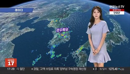 [날씨] 내일 오전까지 수도권 80㎜ 이상 '비'…전국 무더위