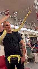 Man Takes Pet Snake On Toronto Train