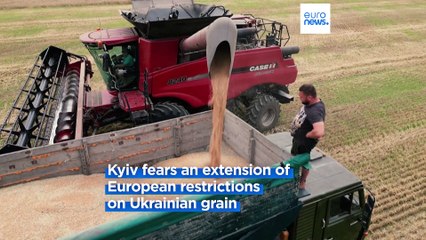 Ukraine war: UN chief urges Russia to revive grain deal, warning 'the most vulnerable' will suffer