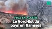 Les images des violents incendies en Algérie qui ont fait 34 morts
