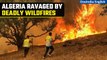 Algeria Wildfires: Scorching heat turn wildfires into infernos; Several lives lost I Oneindia News