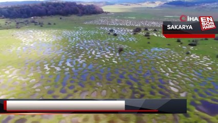 Karagöl Yaylası'nın imara açıldığı iddialarına Vali Kaldırım son noktayı koydu