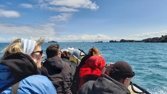 À la rencontre des dauphins du Golfe de Saint-Malo
