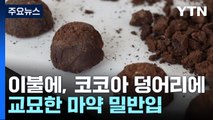 상반기 마약 적발량 사상 최대...여행자 밀수 늘어 / YTN