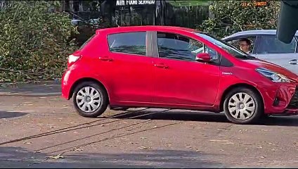 Maltempo a Milano, il vento fa crollare alberi e linea aerea Atm: auto bloccata tra i cavi