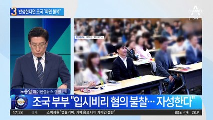 반성한다던 조국…“서울대 교수 파면 불복”