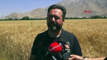 Elbistan Belediyesi Deprem Sonrası Ücretsiz Ekmek Dağıtıyor