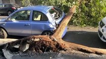 Nubifragio a Milano e provincia: alberi caduti e tetti scoperchiati
