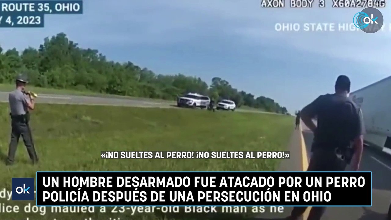 Un hombre desarmado fue atacado por un perro po...