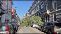 Nubifragio a Milano e provincia: alberi caduti e tetti scoperchiati