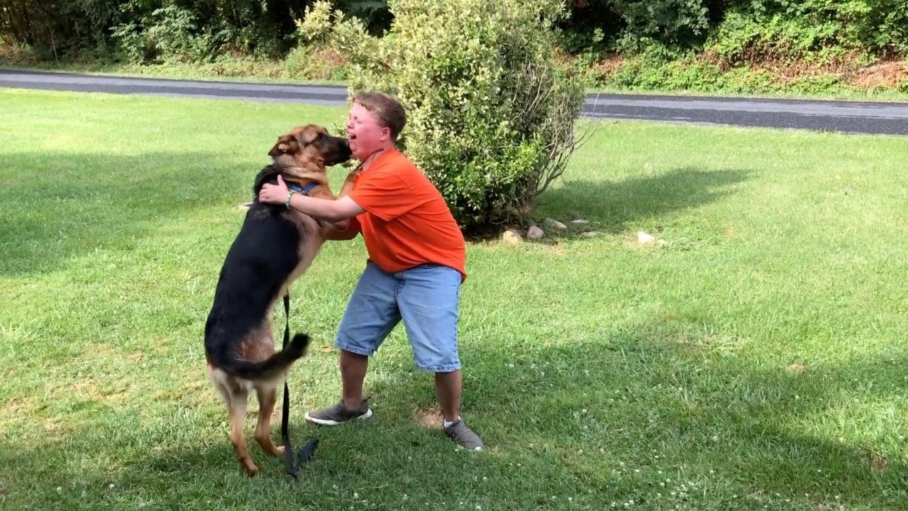 Boy Reunited With Service Dog After Camp | Wild-ish TV