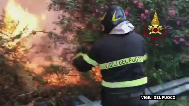 Italian firefighters battle wildfires across Sicily in heatwave