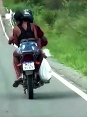 Casal joga gatos de moto em movimento em rodovia na Paraíba