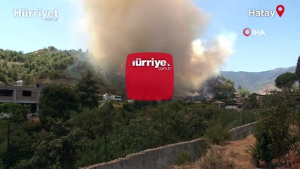 Hatay’da orman yangını