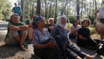 Akbelen'de ağaç katliamına direnen köylüler oturma eylemi yapıyor
