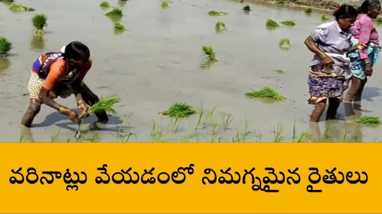 కామారెడ్డి : జిల్లా ప్రజలకు బిగ్ అలర్ట్..జాగ్రత్తలు తప్పనిసరి