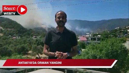 Antakya Kisecik'te orman yangını